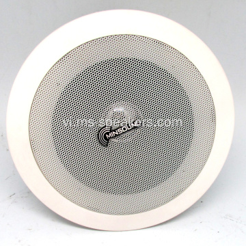 Hệ thống loa celing toàn phạm vi HiFi